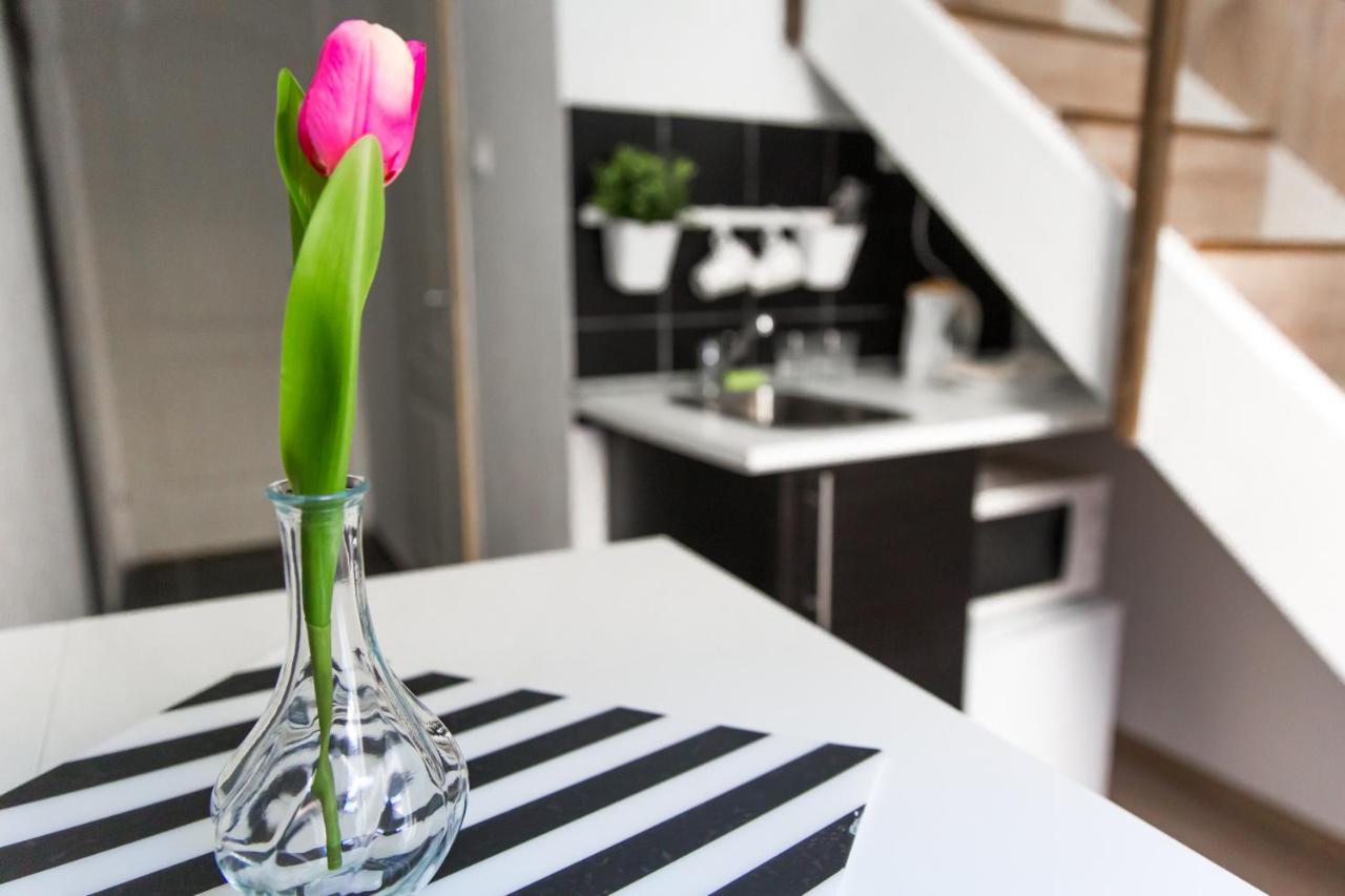 Modern Budget Lofts In The City Centre 布达佩斯 外观 照片